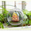 DIY KIT : Mini Glass Ball - My Mini House